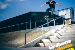 Birdhouse bluntslide ad